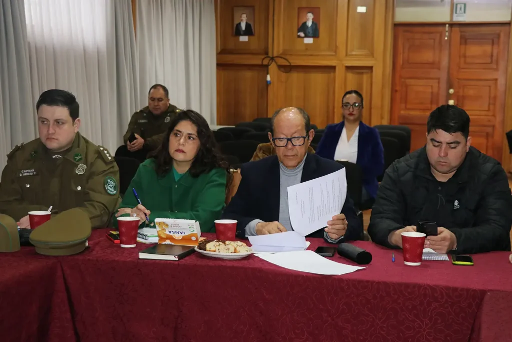Ñancul plantea demandas en Consejo Comunal de Seguridad Pública