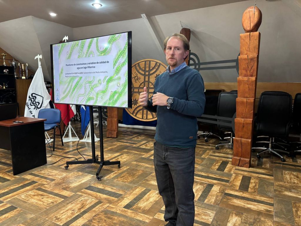 Calidad del agua del Lago Villarrica: revelan resultados de estudios recientes