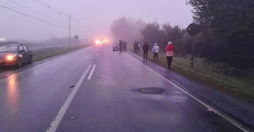 Peatón muere atropellado en la ruta que une Nueva Imperial con Labranza