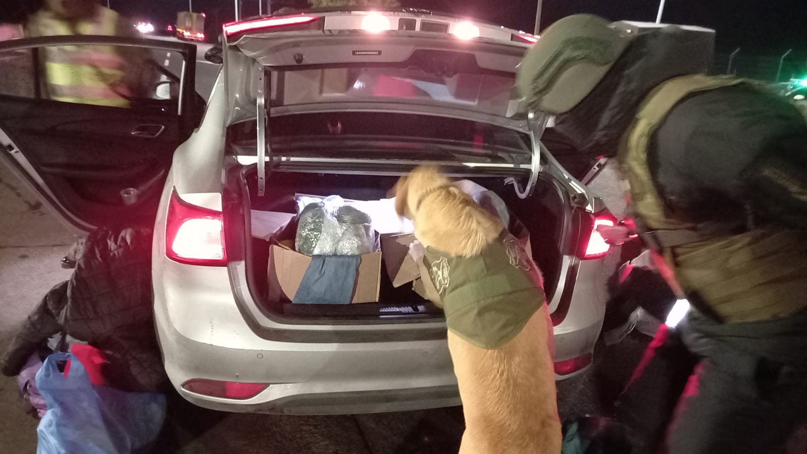Carabineros del OS-7 Araucanía lograron decomisar más de 12 mil dosis de droga en la Ruta 5 Sur