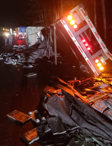 Camión volcó tras chocar con vehículo menor en la Ruta 5 sur