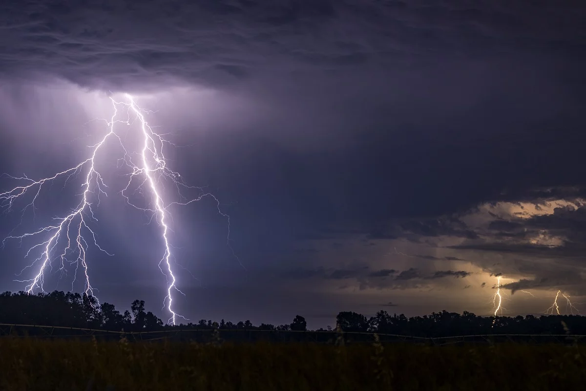 alerta temprana