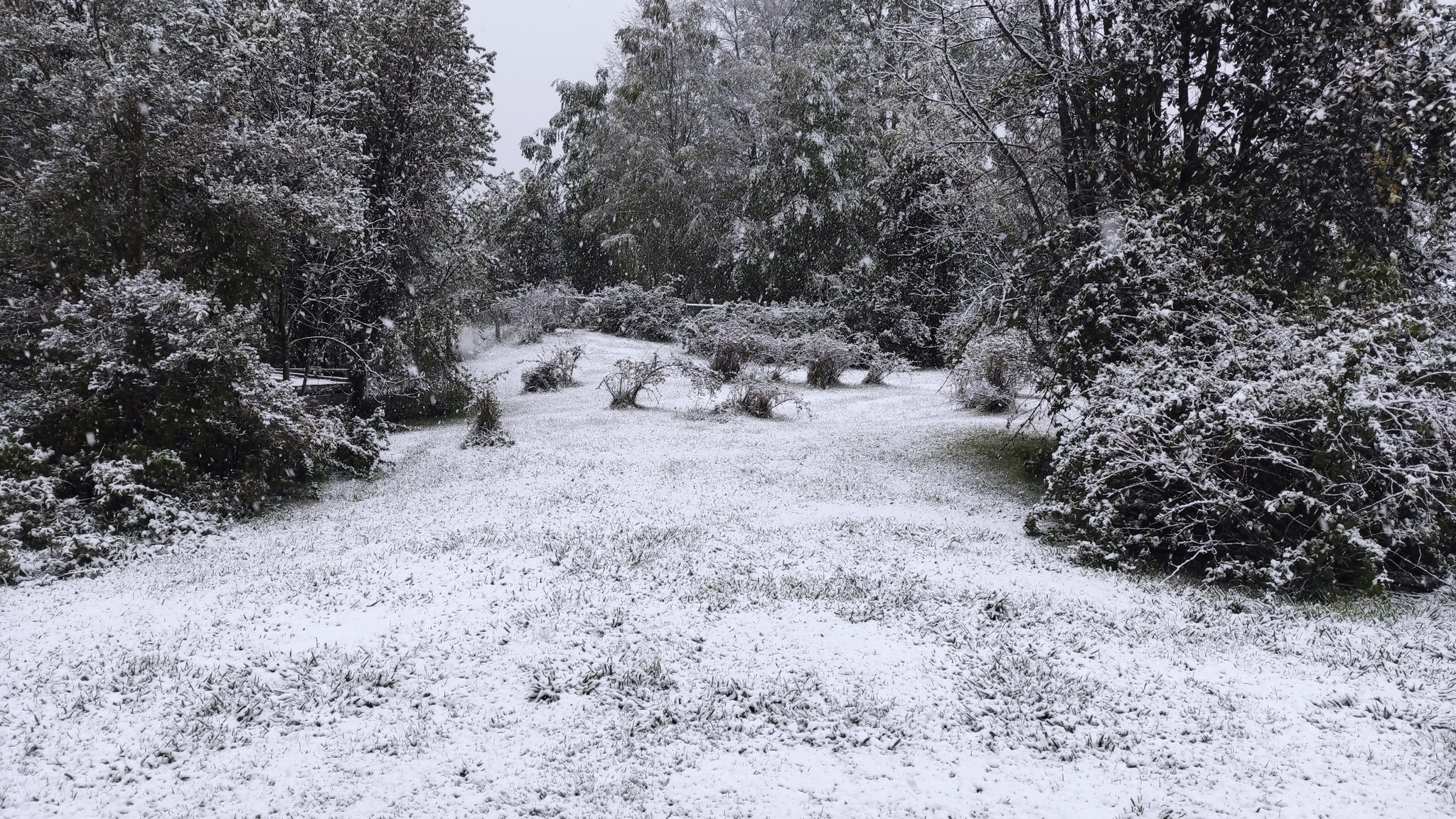 Nieve en ruta Villarrica Pucón