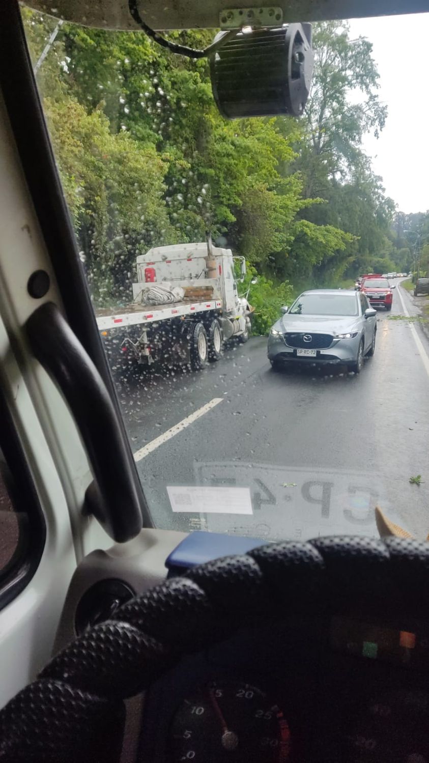 Árbol caído en la ruta Pucón-Villarrica, kilómetro 7. Se ruega conducir con precaución.