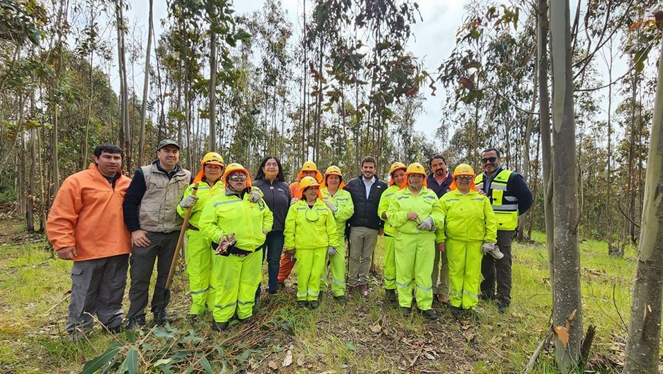 Delegado Presidencial visita los trabajos de prevención de incendios forestales en La Araucanía