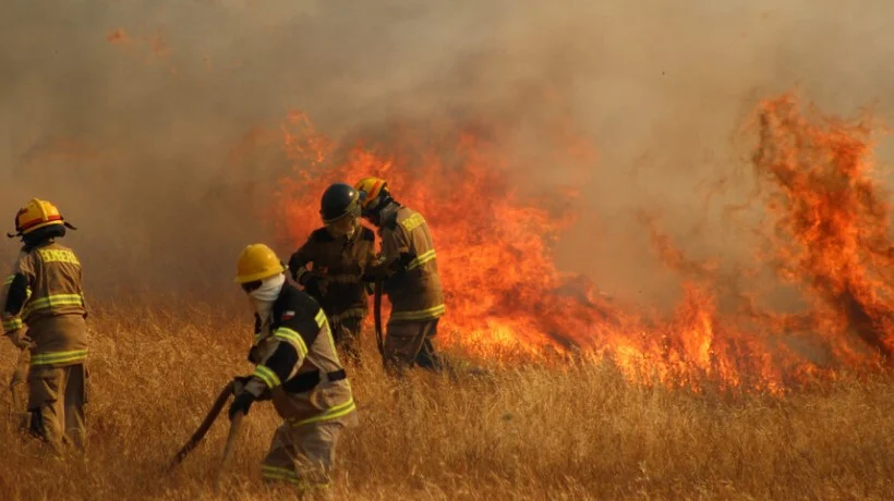 Incendio forestal