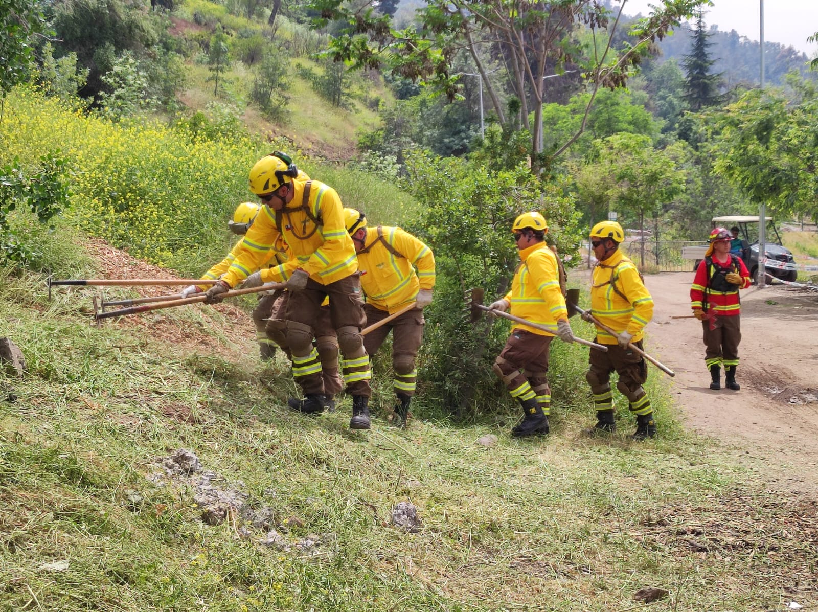 Autoridades regionales llaman a prevenir incendios forestales