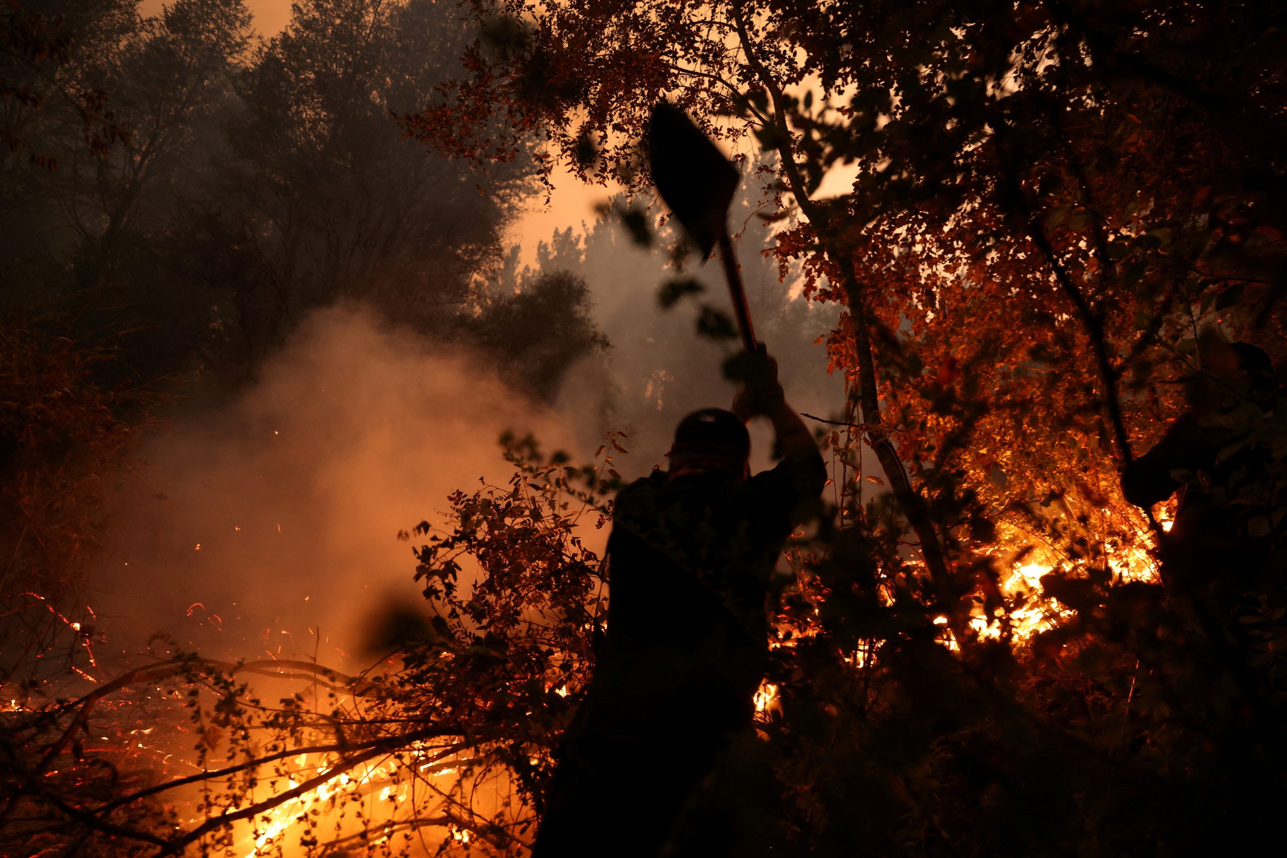 Incendio en siembra de trigo en Collipulli: 20 hectáreas afectadas