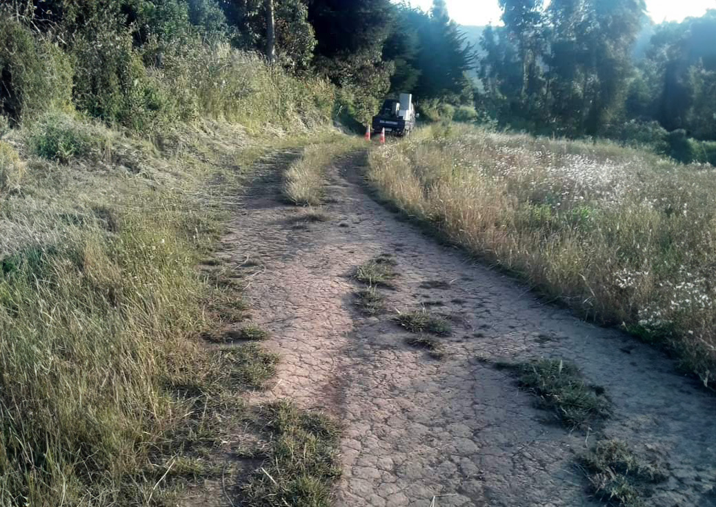 Atropello en Carahue deja fallecido a un niño de 5 años en sector rural