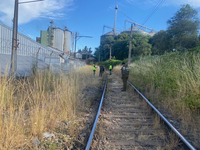 Hombre muere tras ser atropellado por un tren en Collipulli