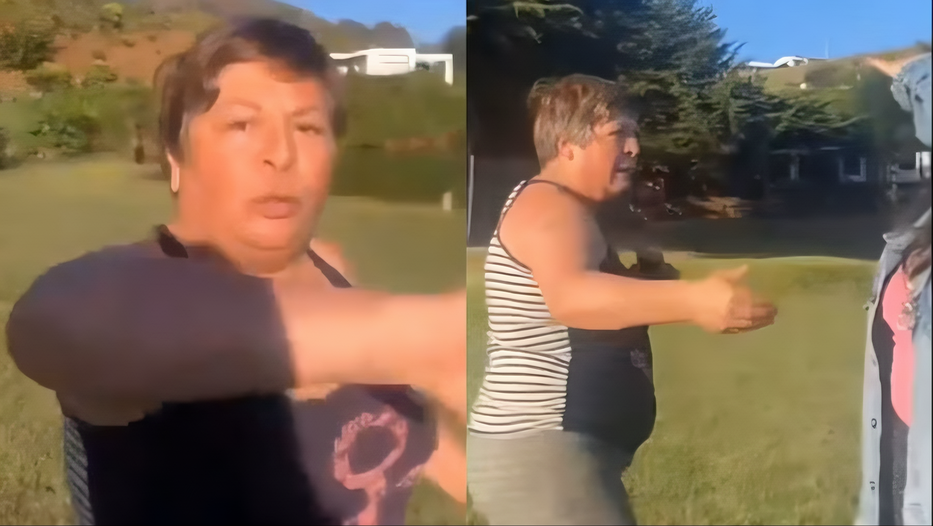 Según testigos, la mujer, quien sería la propietaria de un camping cercano al Lago Budi, se acercó a las jóvenes con intención de agredirlas.