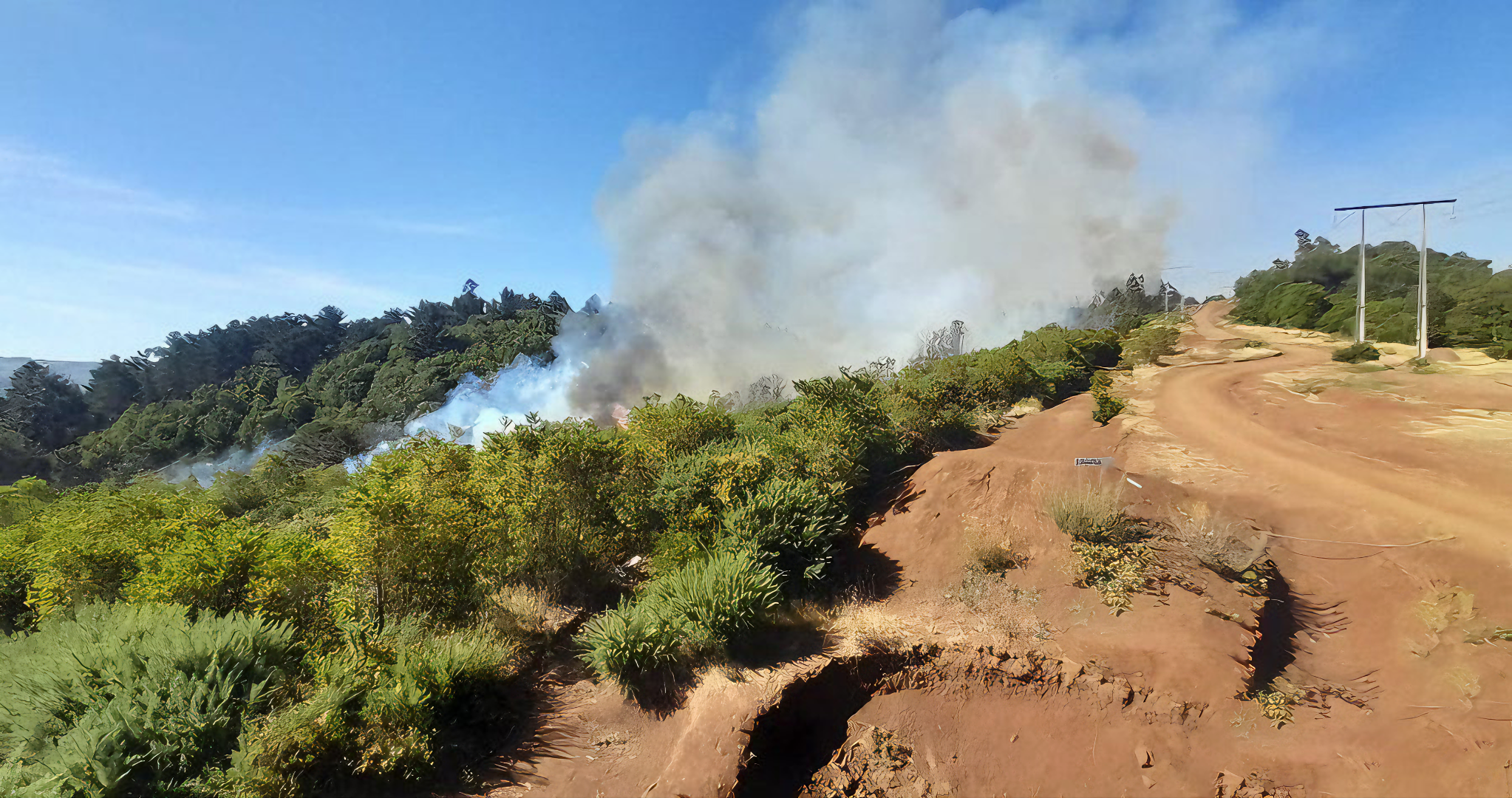 Trabajadores con firma mensual y arraigo por incendio en Cerro Ñielol