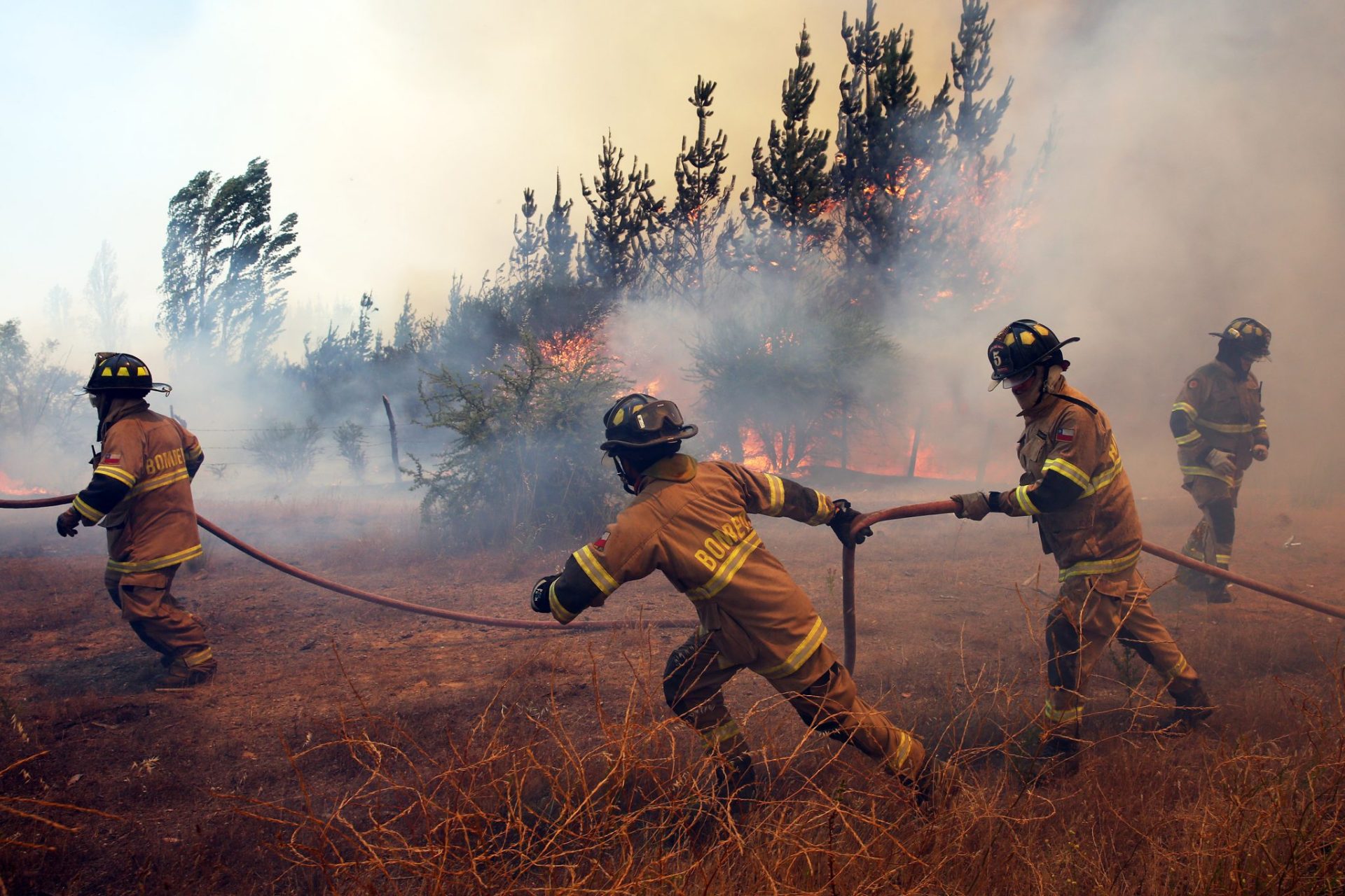 incendios forestales, alerta temprana preventiva