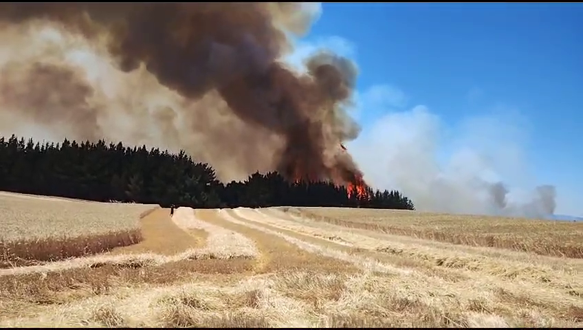 Bomberos combaten incendio en Galvarino