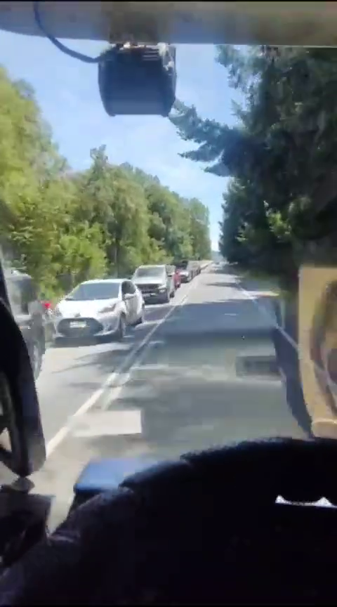 Gran congestión en ruta Freire Villarrica