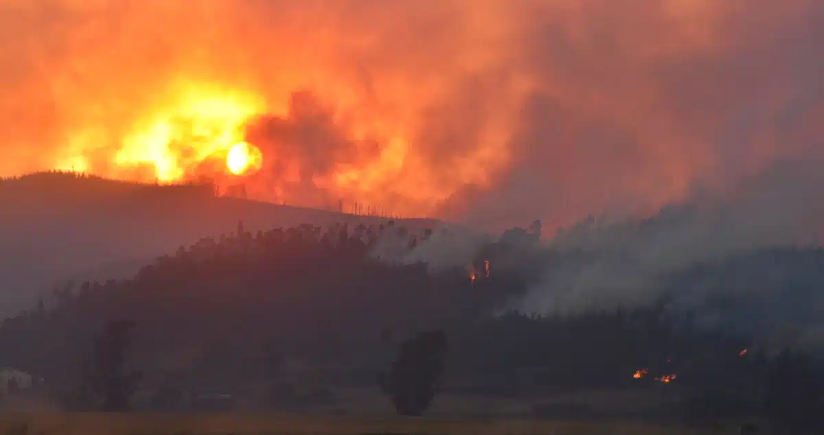 Incendio forestal
