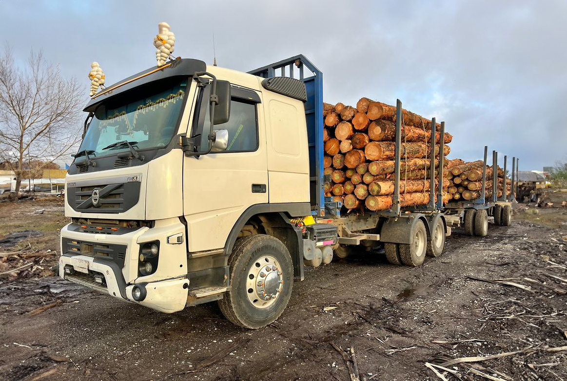 Araneda reconoció haber pagado $130 millones a grupos armados para el robo de madera