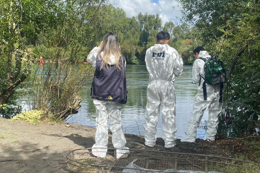 Cuerpo encontrado a orillas de río Toltén fue identificado: aún se desconocen las causas del deceso