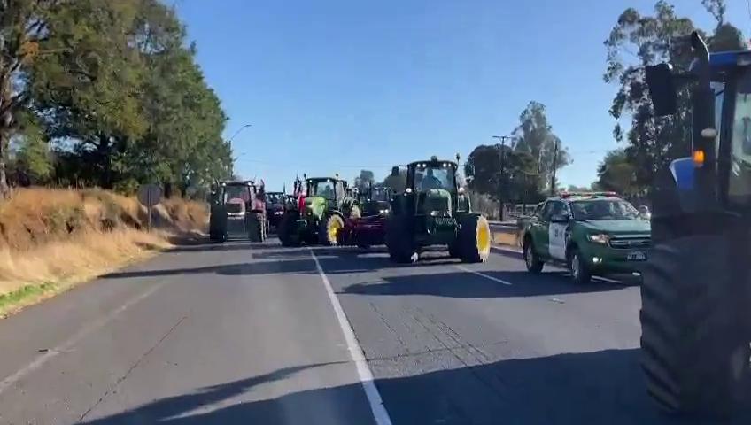 Agricultores se movilizan en La Araucanía por caída del precio del trigo