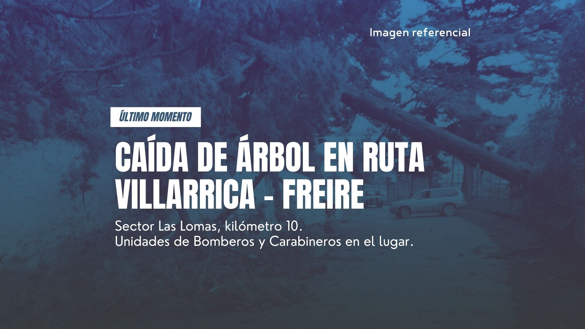 Árbol caído en Ruta Villarrica Freire: tránsito suspendido