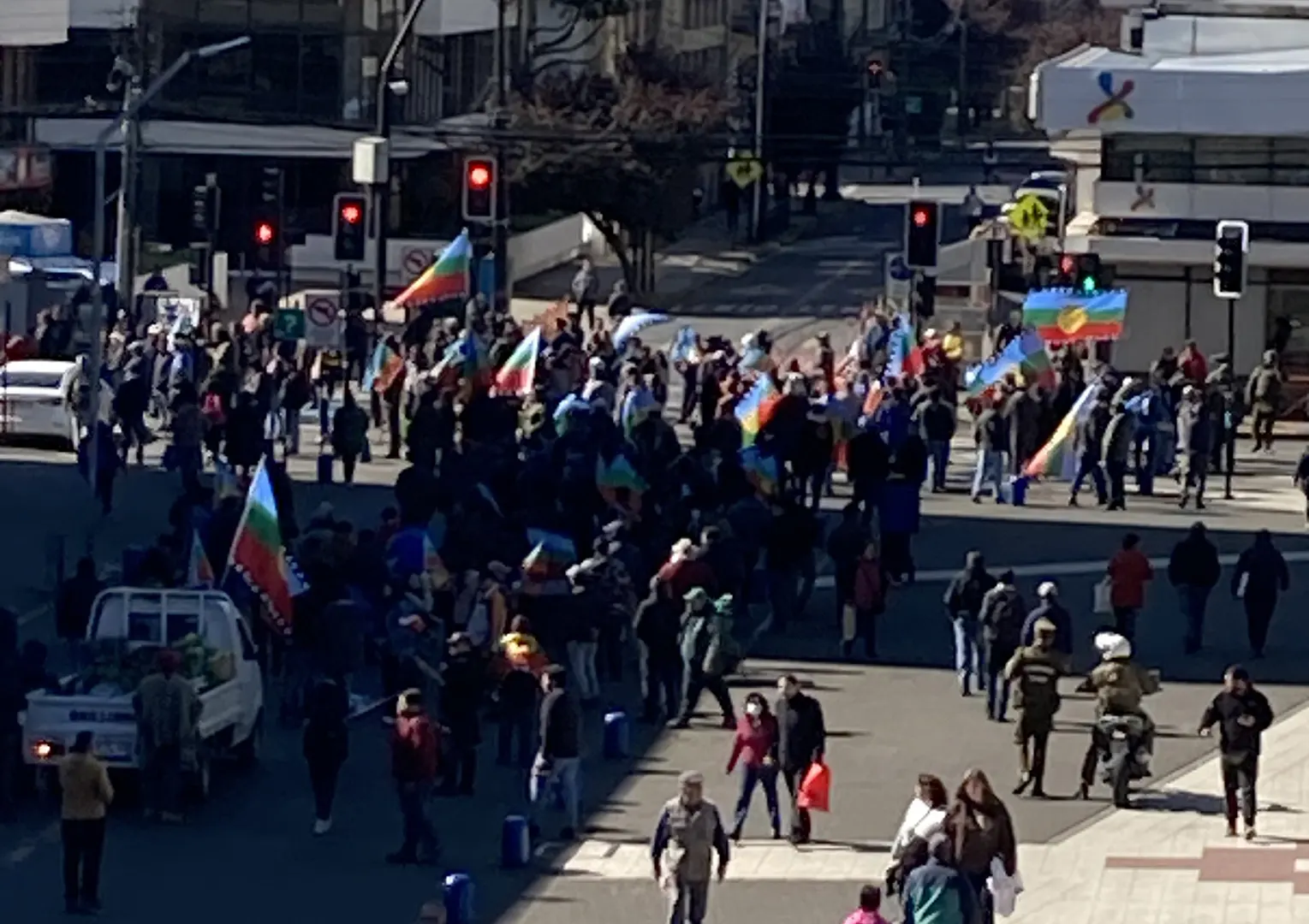 Marcha de hortaliceros por la soberanía en Temuco