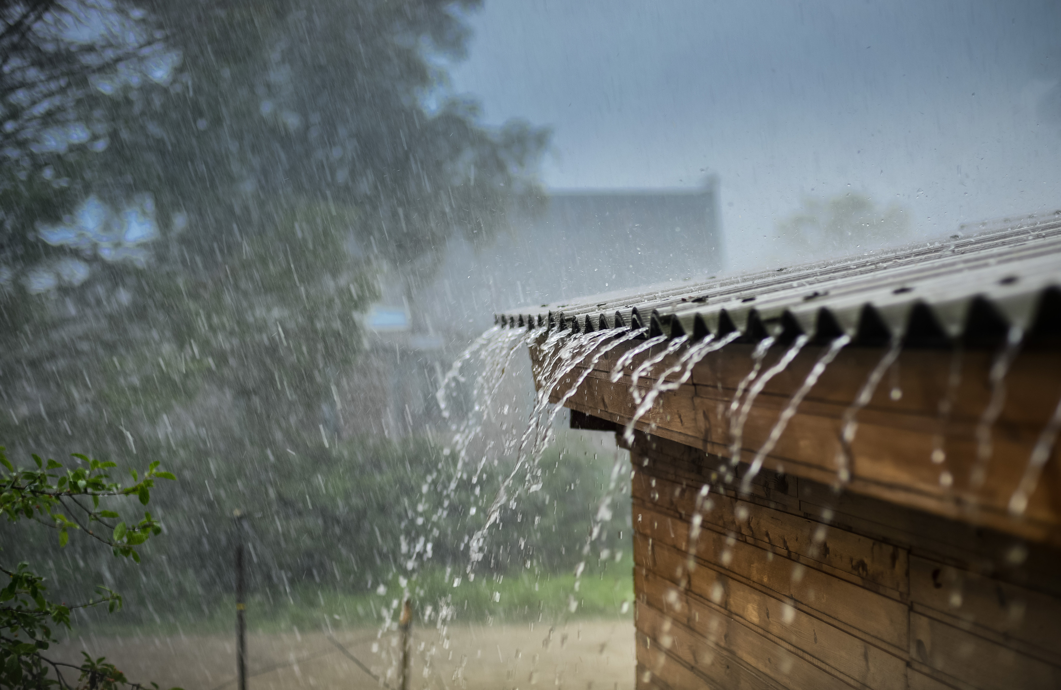 lluvias en la araucanía