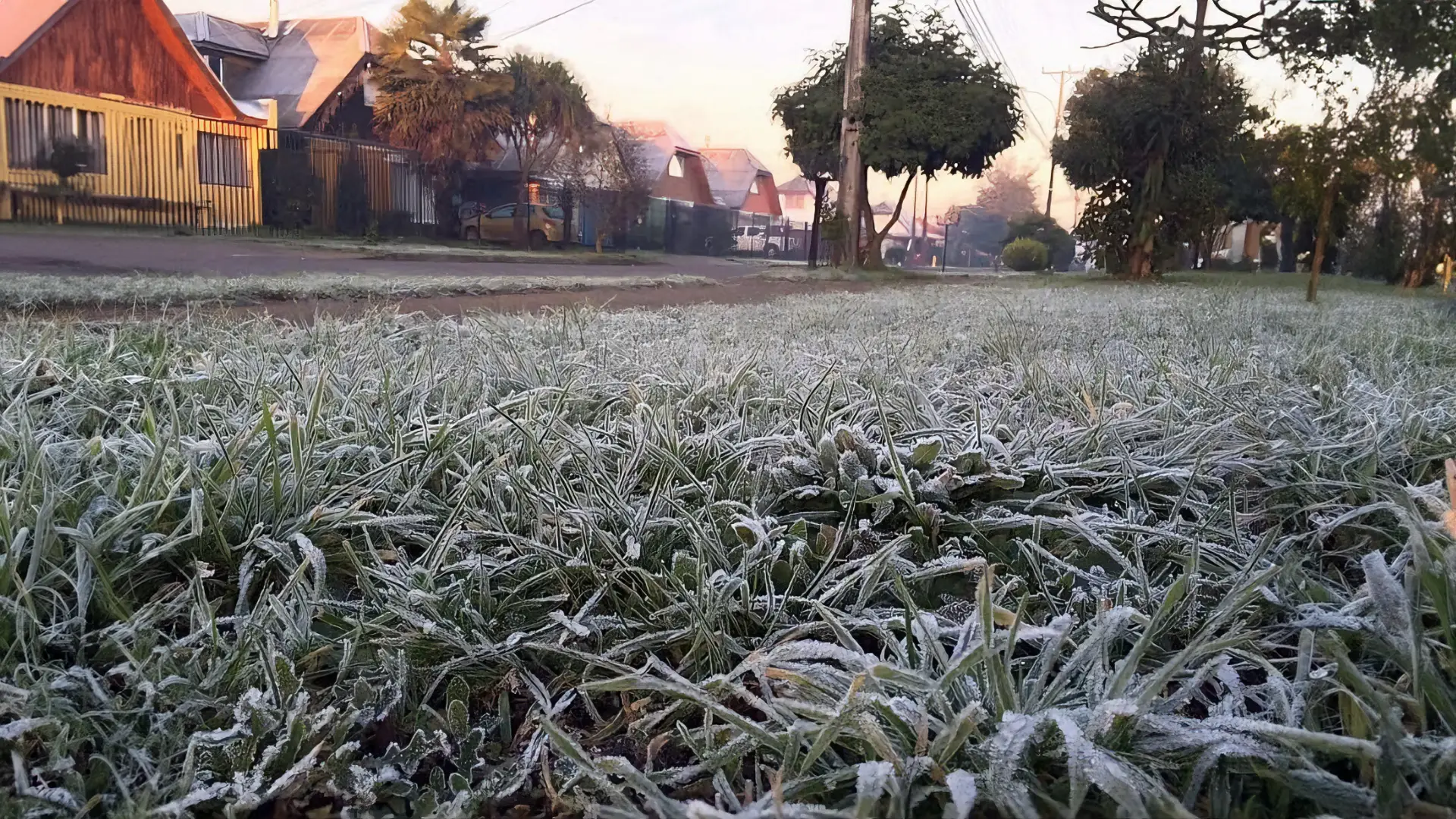 Temperaturas bajo cero y mala calidad del aire en Temuco y Padre Las Casas