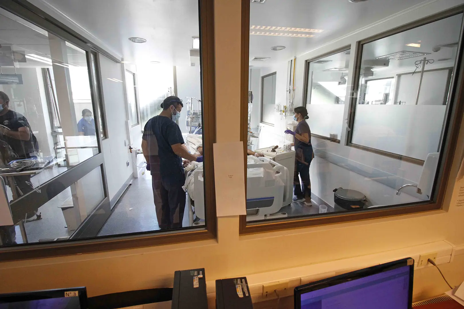 Un fallecido y dos personas en estado grave tras consumir hongos venenosos en Lumaco