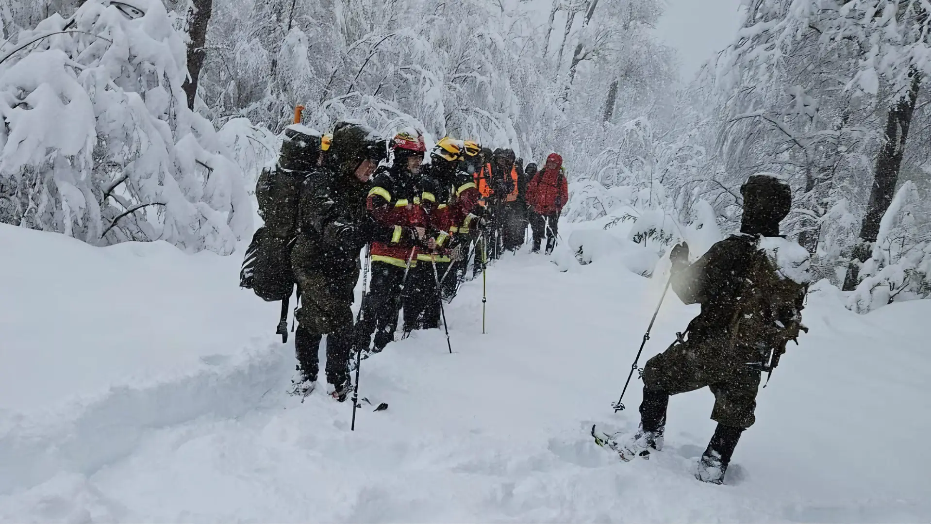 Sin resultados: continúa búsqueda de hombre perdido en Parque Nacional Villarrica