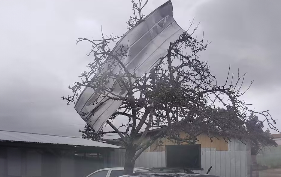 Posible tornado en Malalhue: casas sin techo y árboles caídos