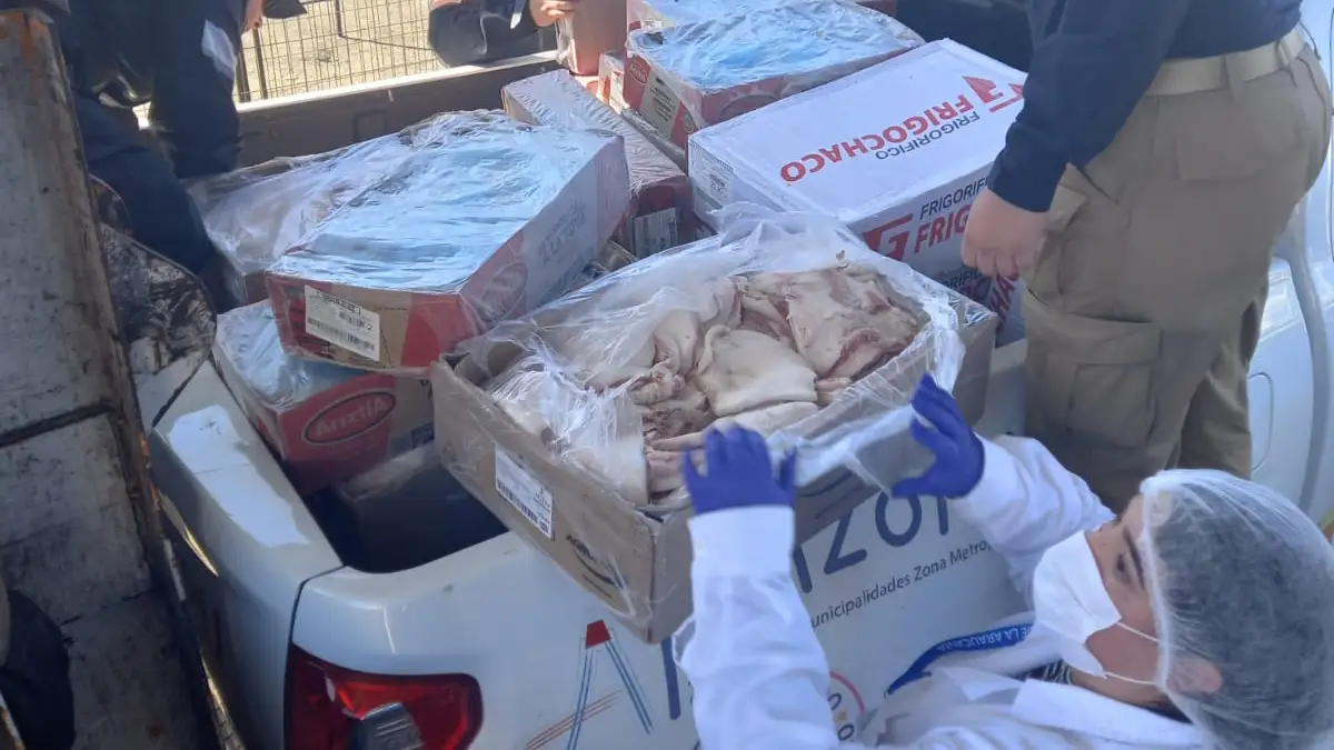 Decomisan más de 2 toneladas de carne vencida en operativo "18 Seguro" en Temuco