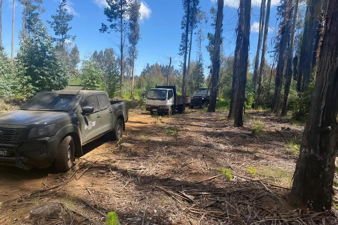 Carabineros detiene a sujeto in fraganti por robo de madera en Malleco