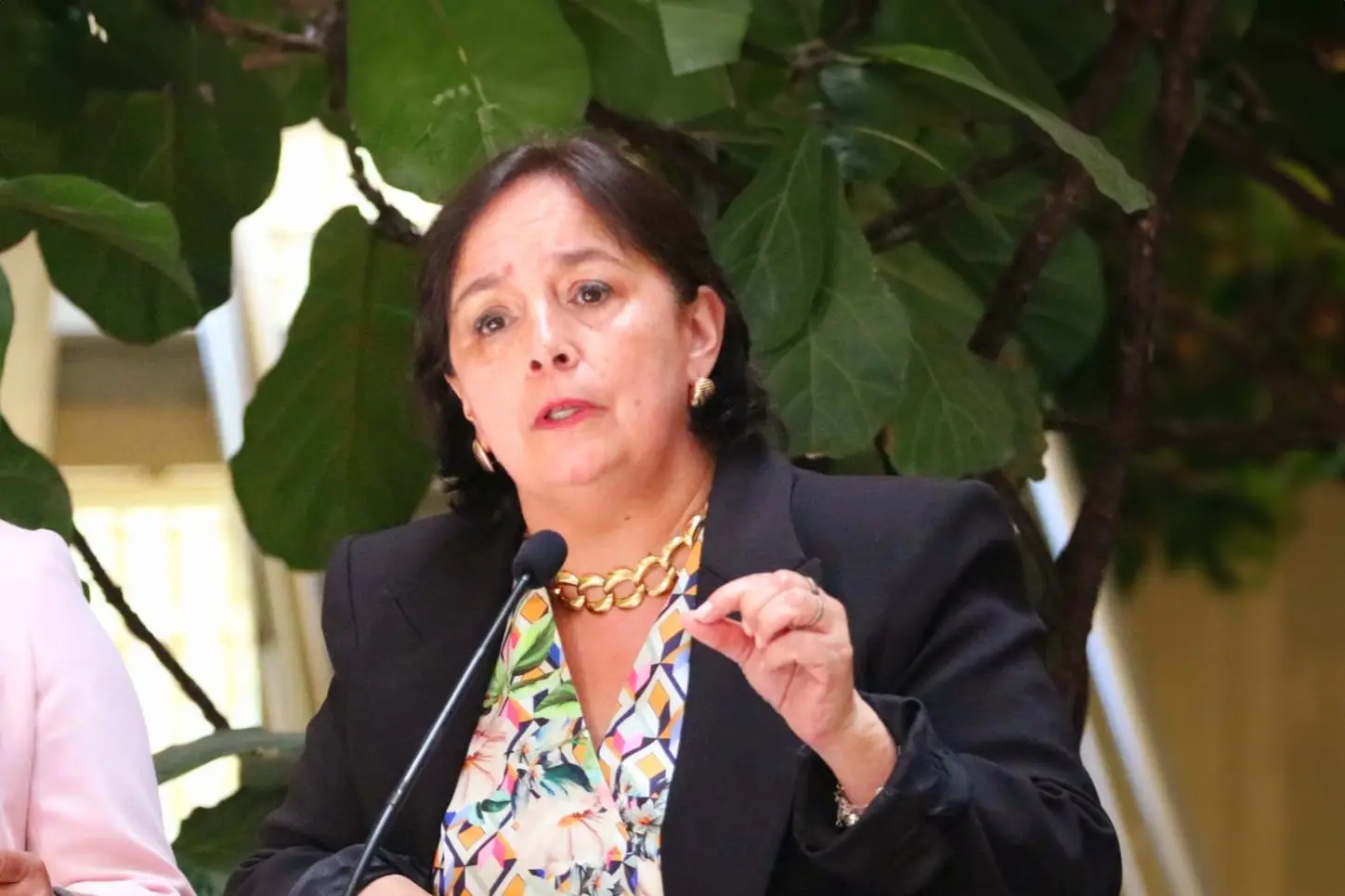 La senadora Aravena criticó el aumento de homicidios en Chile y calificó como irresponsable la designación de encargados de seguridad.