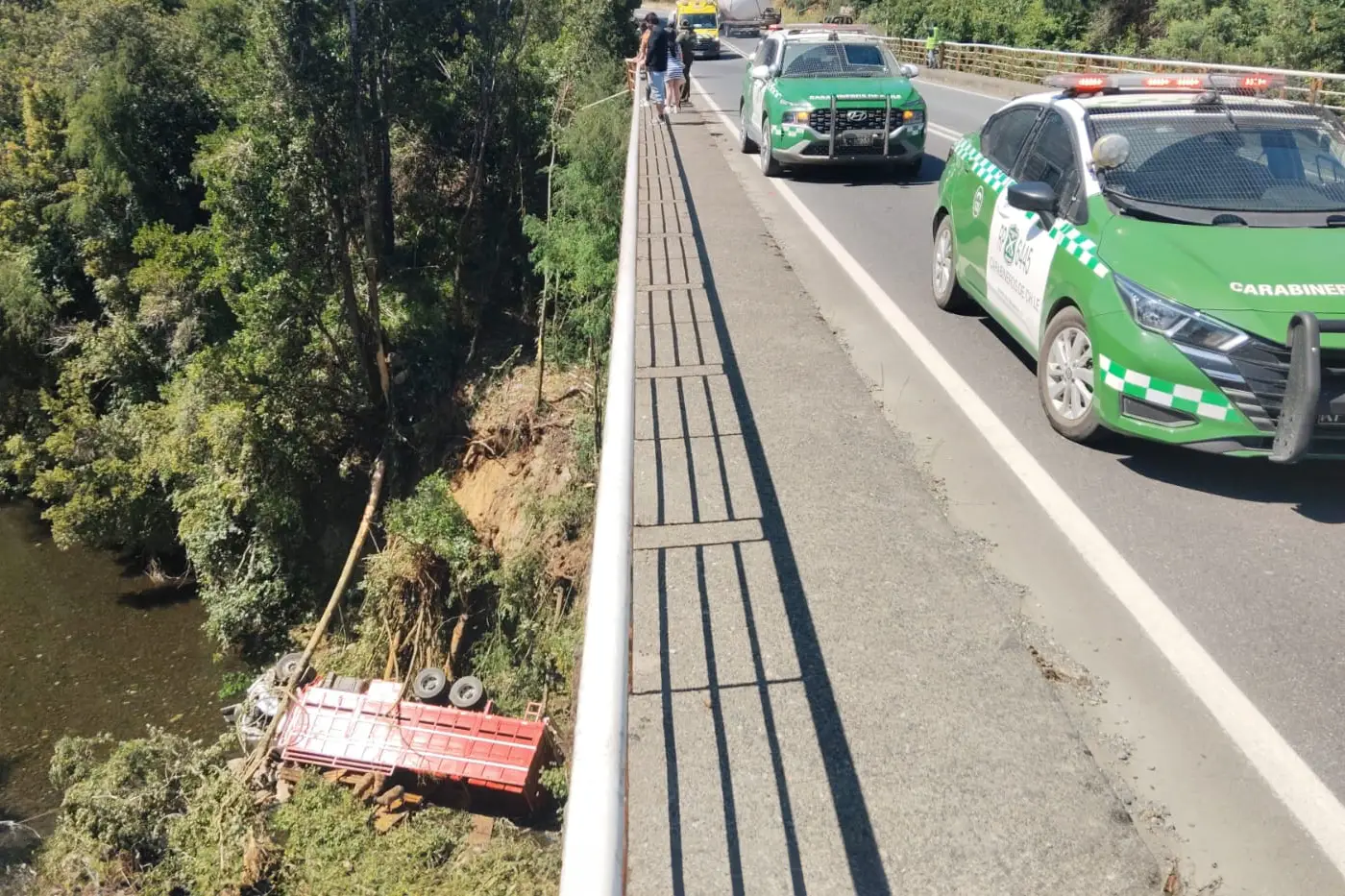 Camión con corderos vuelca y cae al río en ruta Villarrica-Freire. Dos ocupantes rescatados por SAMU. Bomberos trabajan en el rescate de animales.