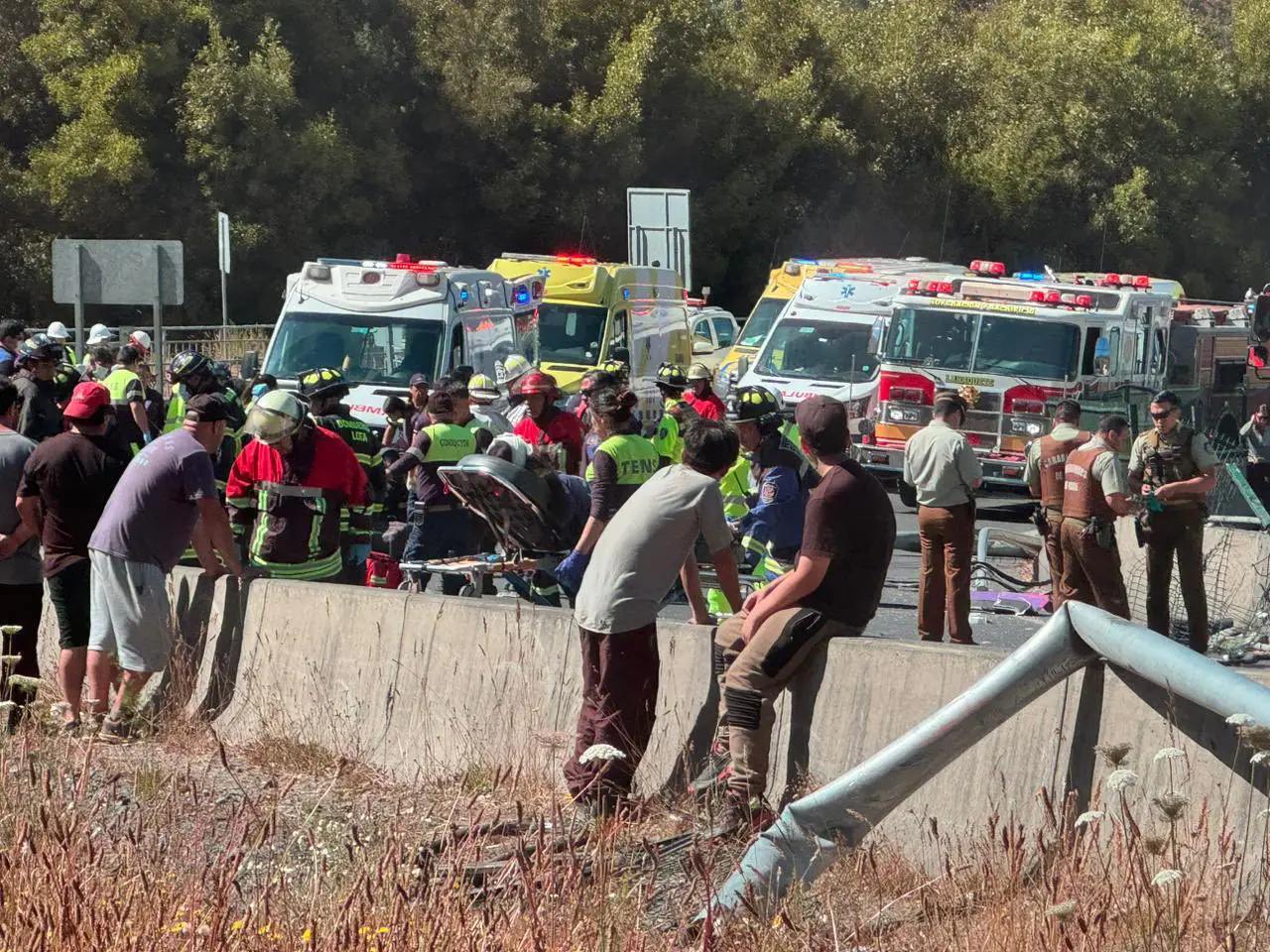 Trágico accidente en Ruta 160, sector Chivilingo, deja 4 fallecidos tras choque de taxibús contra barrera de contención.