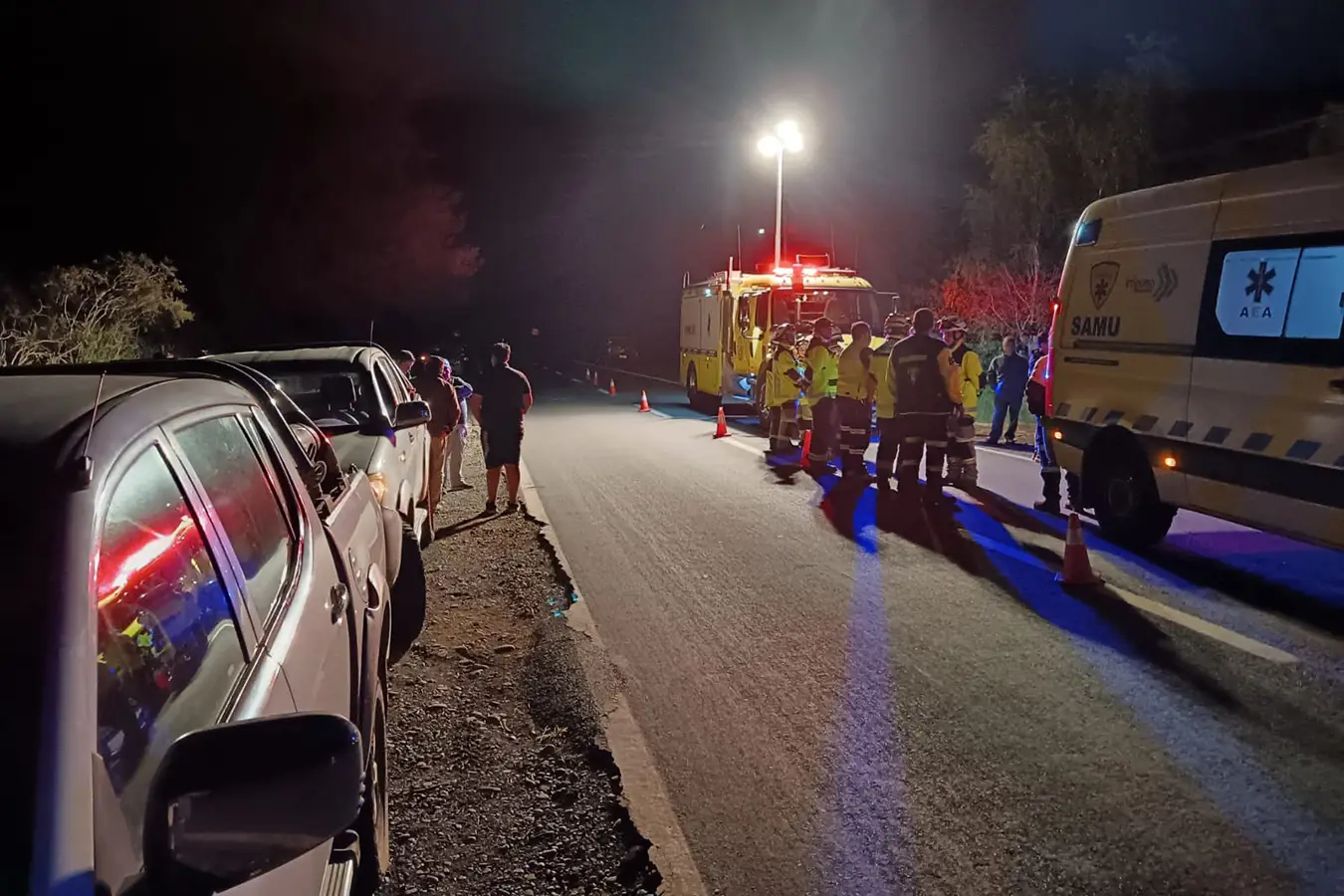Atropello fatal en ruta Freire Radal deja un hombre de 50 años fallecido. El vehículo se dio a la fuga
