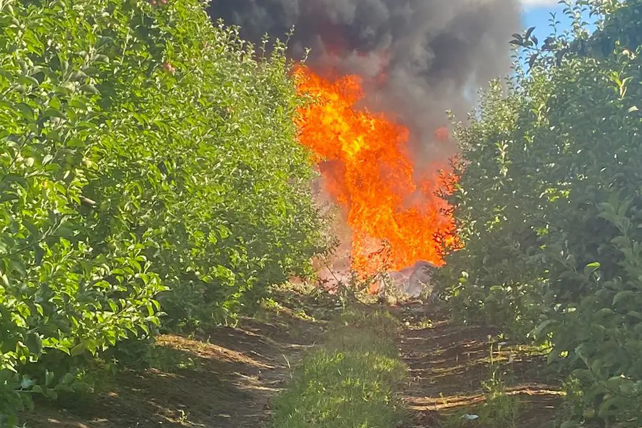 Avioneta cae en km 3, sector Mar Rojo, ruta Freire-Barros Arana. Tres tripulantes son trasladados a centros asistenciales.