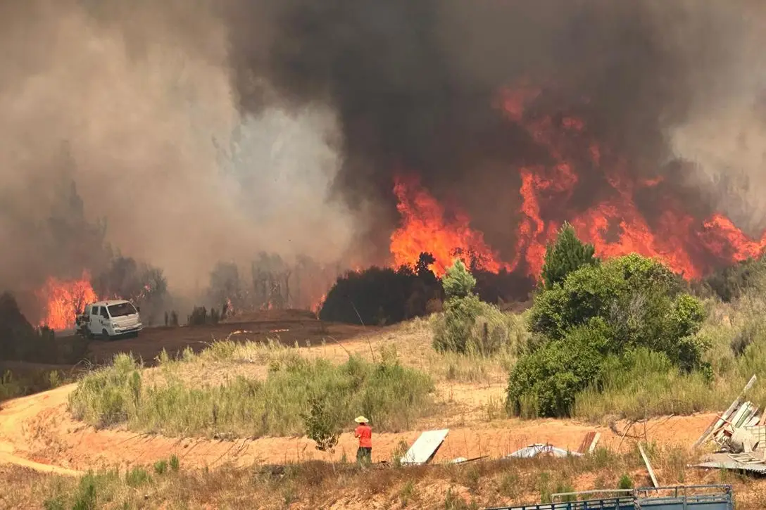 Alerta Roja en Nueva Imperial por incendio en Cudico. 25 viviendas en riesgo. Bomberos y CONAF trabajan en el control de la emergencia