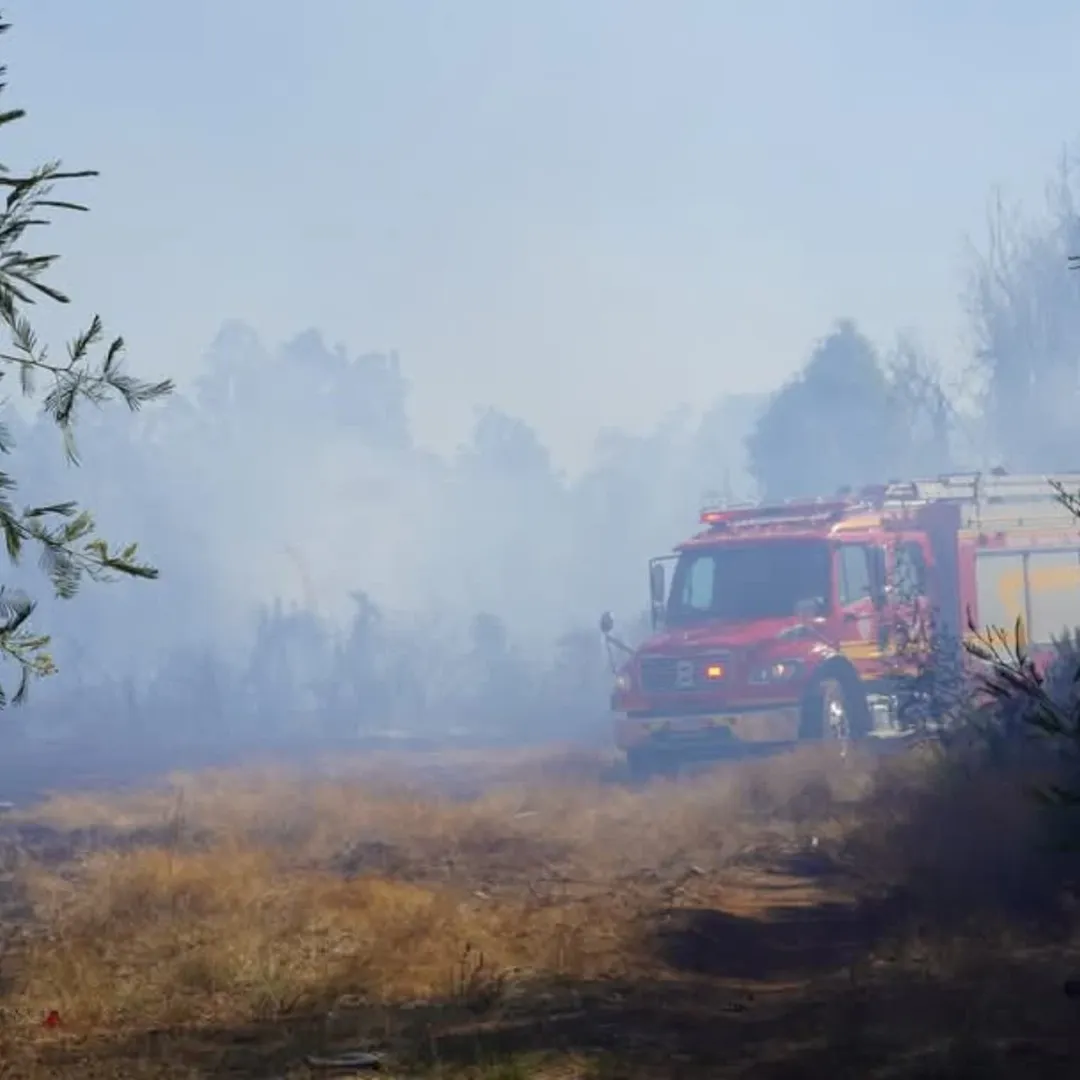 Pitrufquén en alerta roja por incendio forestal en sector Huallizada. Familias evacuadas y viento complica la situación
