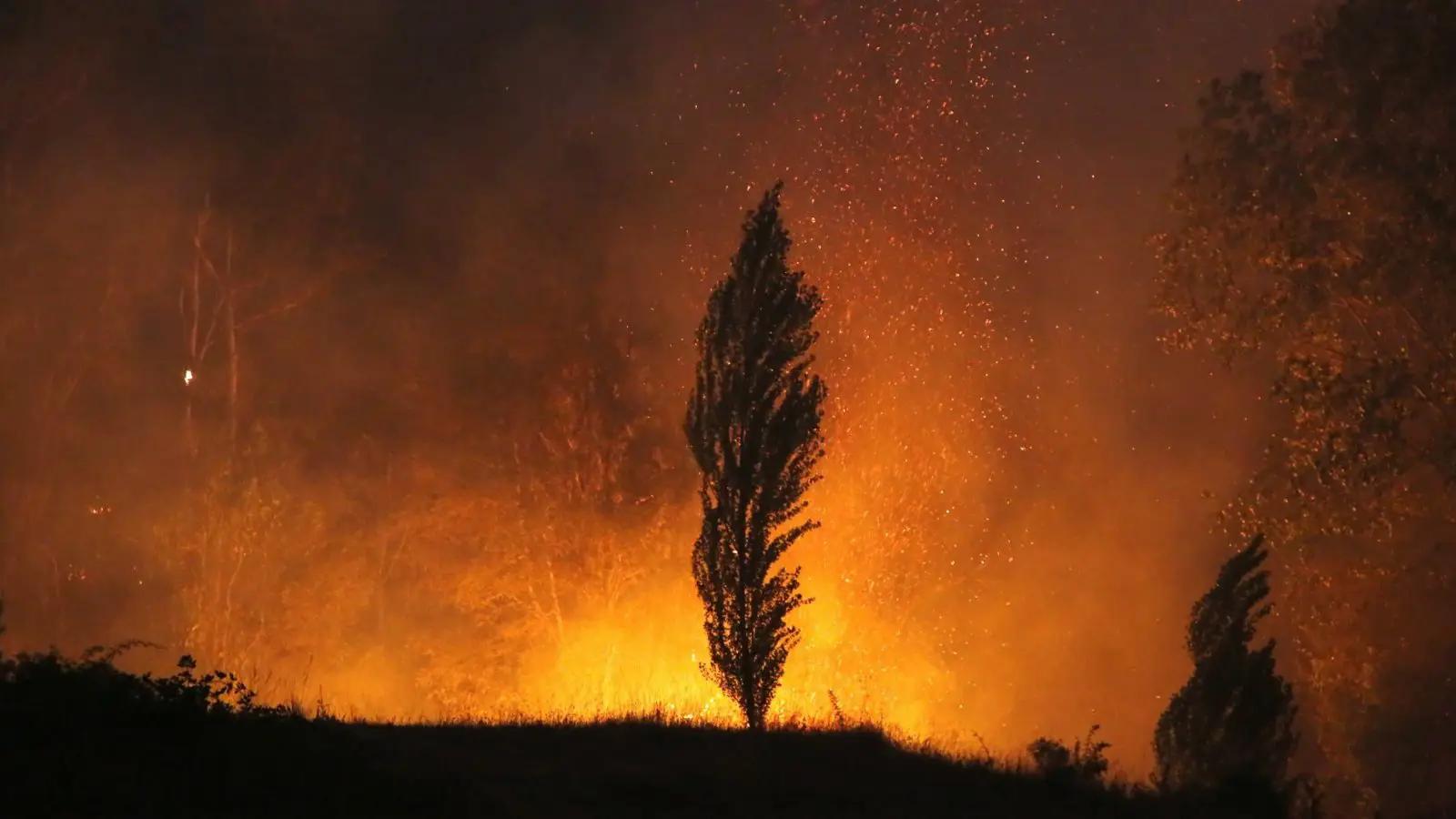 Alerta Roja por incendio forestal en Malleco afecta a Collipulli, Victoria y Ercilla. Autoridades movilizan recursos para controlar las llamas.