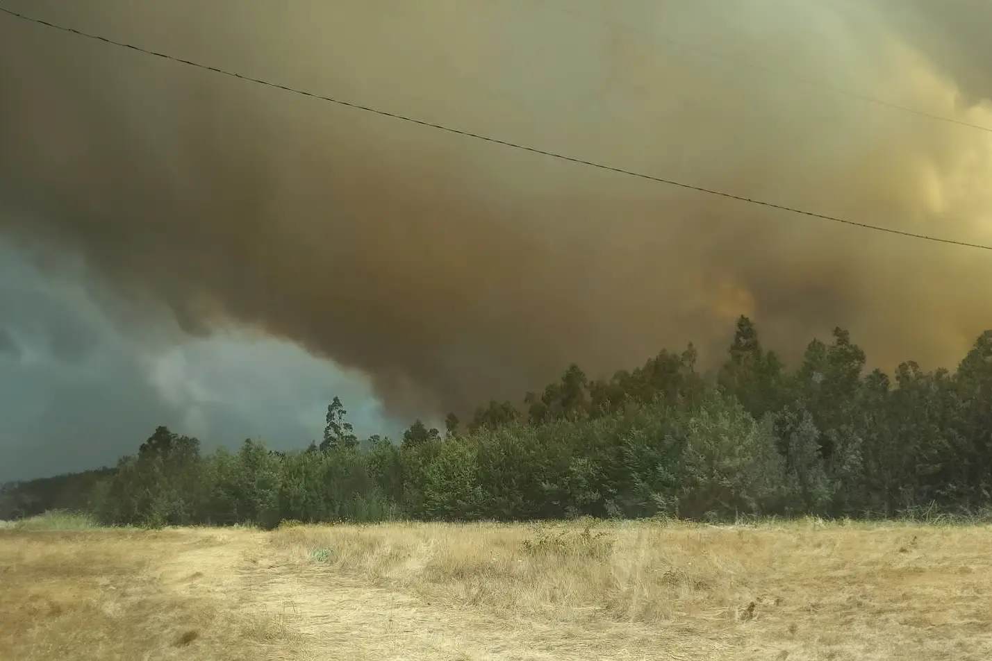 Toque de queda renovado en La Araucanía desde las 22:00 horas del lunes 10 hasta las 06:00 horas del martes 11 de febrero por incendios forestales
