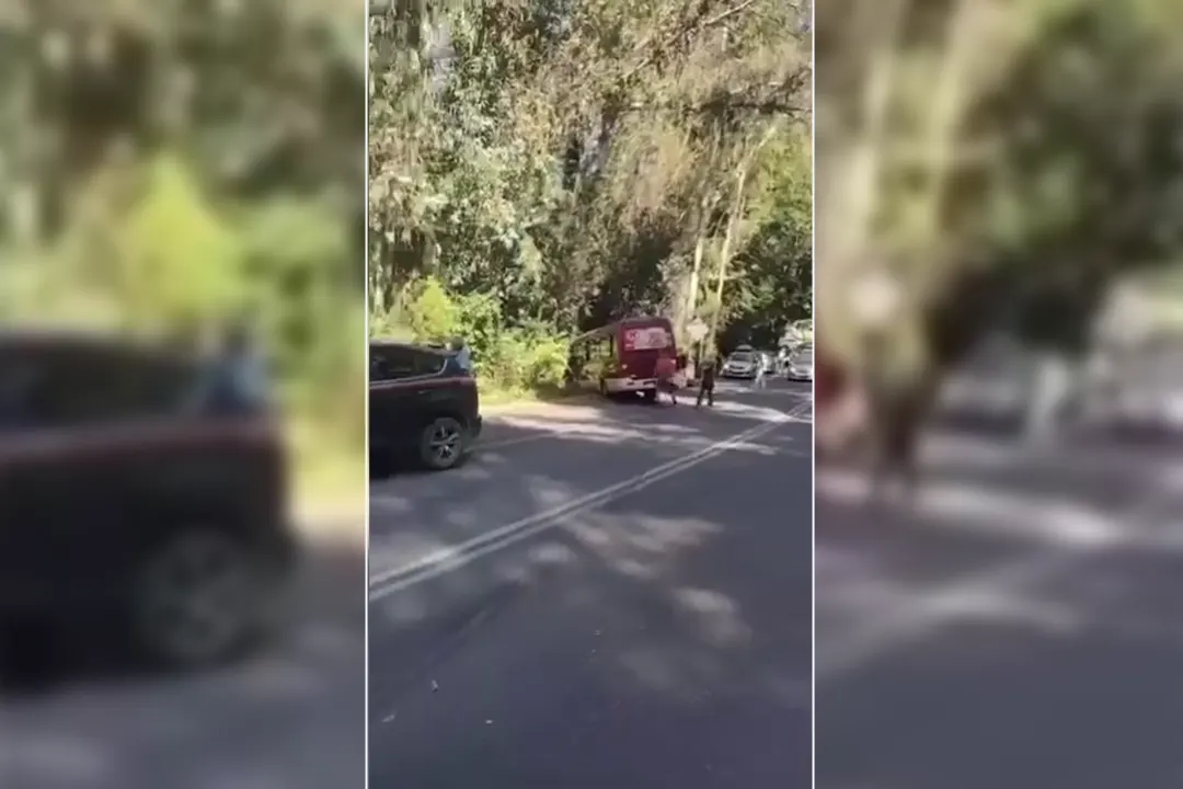 Grave colisión frontal en Pucón deja ocho lesionados, dos de ellos de gravedad. Minibus y vehículo menor involucrados