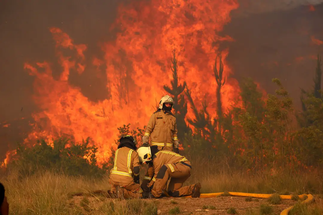 Incendio forestal en La Araucanía: SENAPRED ordena evacuación en Los Sauces, Purén y Lumaco