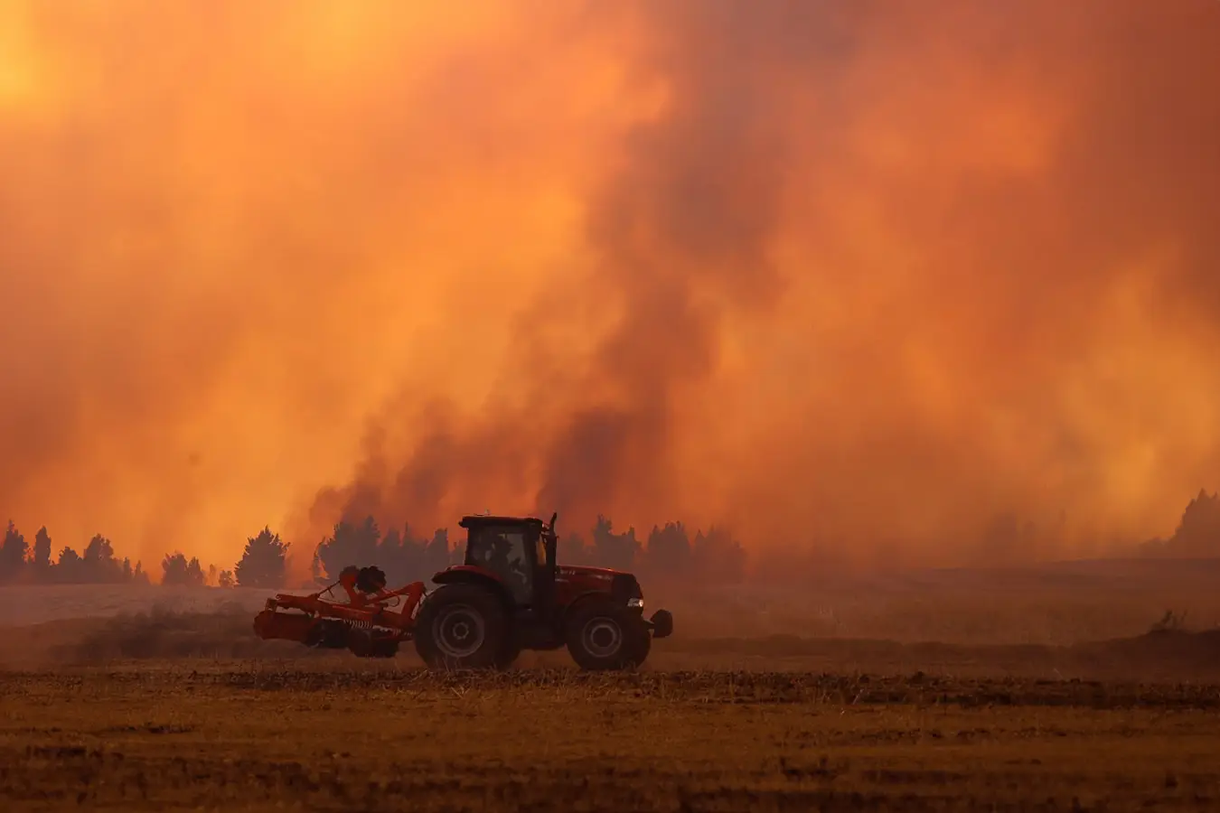 Incendios forestales en La Araucanía: 12 focos activos y miles de hectáreas afectadas