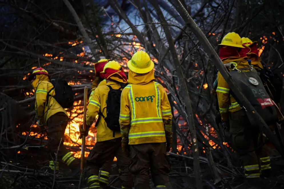 Muere brigadista de Conaf tras sufrir accidente durante labores de combate de incendios en Victoria