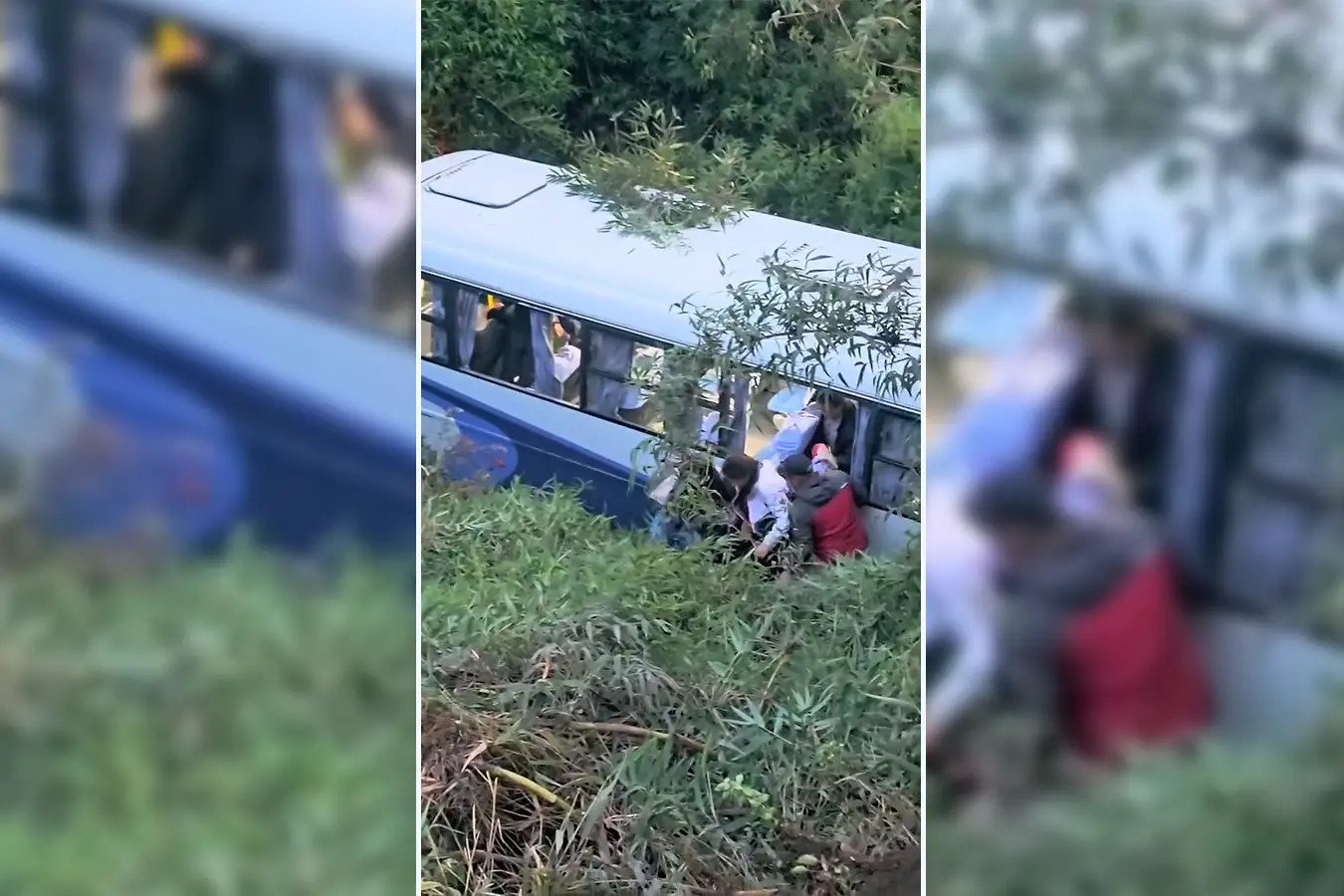 Emergencia en Cochamó: Bus Desbarranca en Camino Rural