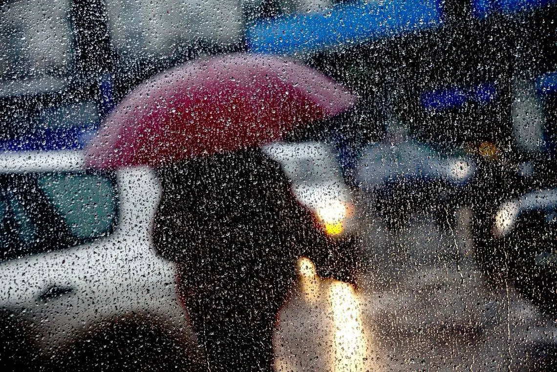 Temporal afectará La Araucanía, Los Ríos, Los Lagos y Aysén con lluvias y vientos de hasta 80 km/h desde el sábado 29 de marzo. Alerta amarilla en La Araucanía