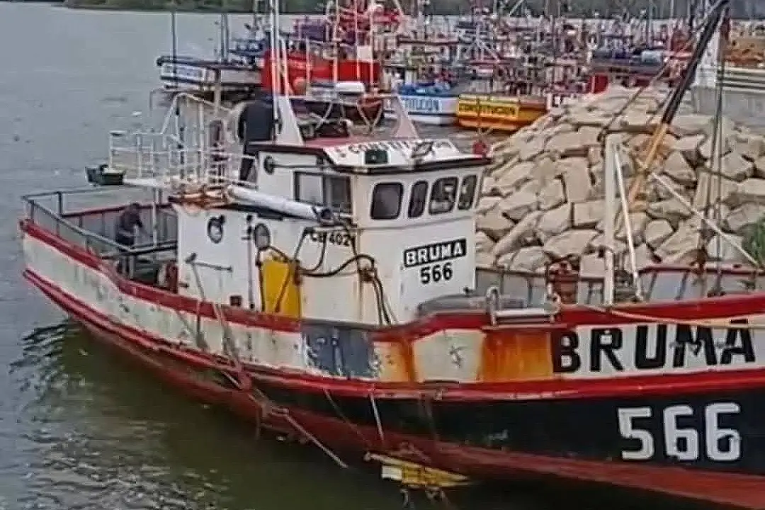 "El barco le pasó por encima": líder gremial acusa al buque Cobra por desaparición de 7 pescadores