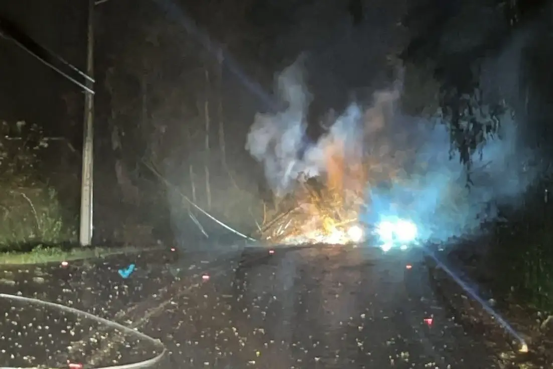 Emergencia en Ruta S-91: caída de árbol deja cables energizados en Cuesta Durán