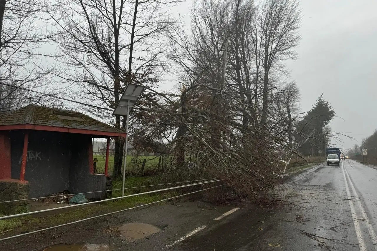 Pronostican temporal de viento con rachas de hasta 80 km/h para este jueves en el sur del país